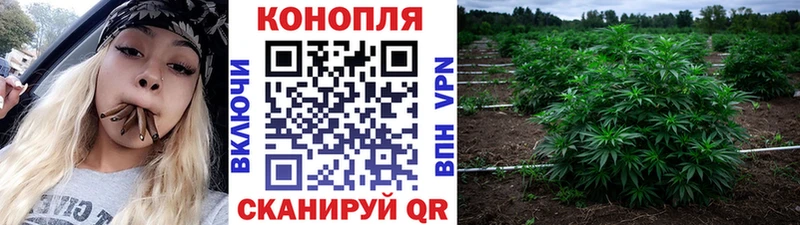 Как найти наркотики Усть-Джегута кракен онион  Мефедрон  ГАШ 