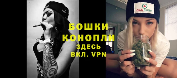 spice Аркадак
