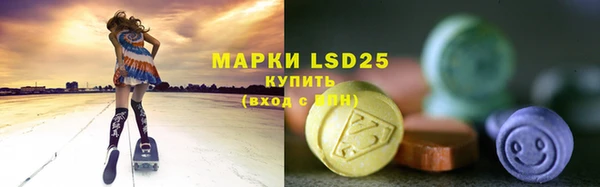spice Аркадак