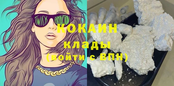 трава Наволоки