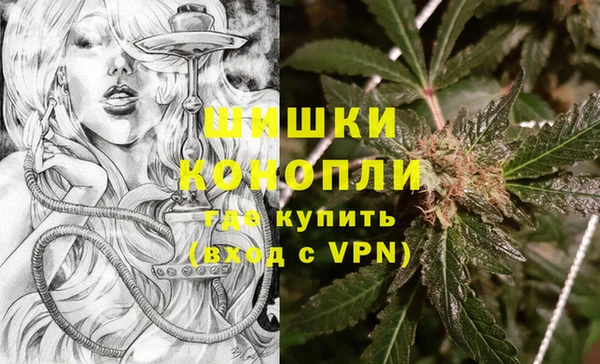 spice Аркадак