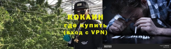 spice Аркадак