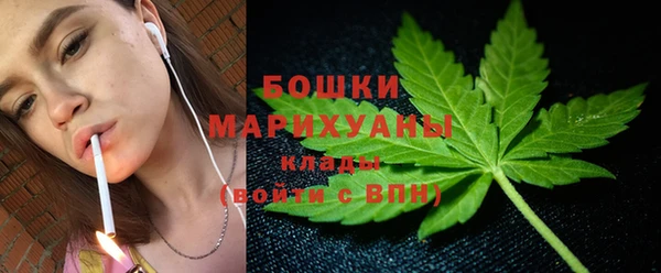 трава Наволоки